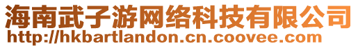 海南武子游網絡科技有限公司