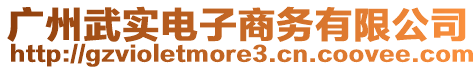 廣州武實電子商務有限公司