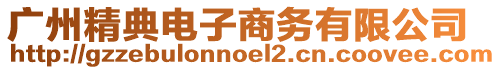 廣州精典電子商務有限公司
