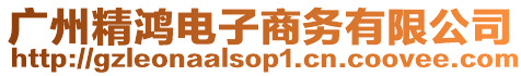 廣州精鴻電子商務有限公司