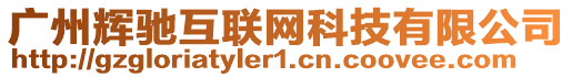 廣州輝馳互聯(lián)網(wǎng)科技有限公司