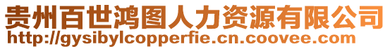 貴州百世鴻圖人力資源有限公司