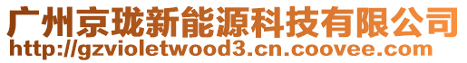 廣州京瓏新能源科技有限公司