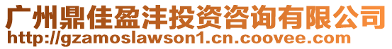 廣州鼎佳盈灃投資咨詢有限公司