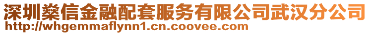深圳燊信金融配套服務有限公司武漢分公司