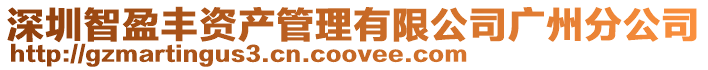 深圳智盈豐資產管理有限公司廣州分公司