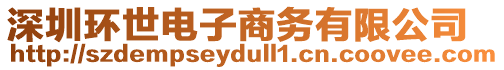 深圳環世電子商務有限公司
