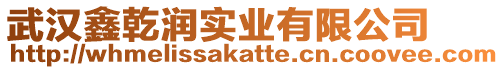 武漢鑫乾潤實業有限公司