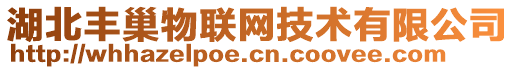 湖北豐巢物聯(lián)網(wǎng)技術(shù)有限公司