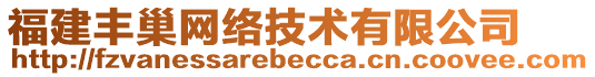 福建豐巢網絡技術有限公司