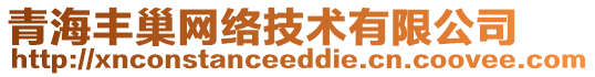 青海豐巢網(wǎng)絡(luò)技術(shù)有限公司