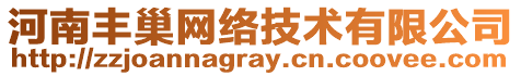 河南豐巢網絡技術有限公司