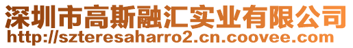 深圳市高斯融匯實業有限公司