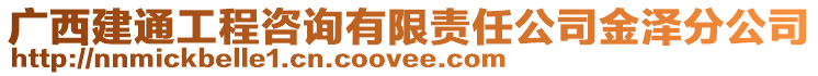 廣西建通工程咨詢有限責任公司金澤分公司