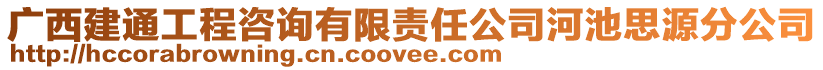 廣西建通工程咨詢有限責(zé)任公司河池思源分公司