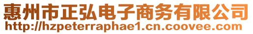 惠州市正弘電子商務(wù)有限公司