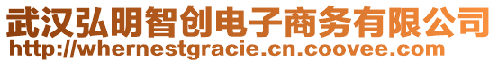 武漢弘明智創電子商務有限公司