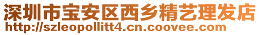 深圳市寶安區(qū)西鄉(xiāng)精藝?yán)戆l(fā)店