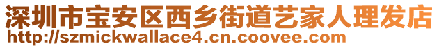 深圳市寶安區(qū)西鄉(xiāng)街道藝家人理發(fā)店