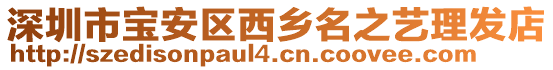 深圳市寶安區(qū)西鄉(xiāng)名之藝?yán)戆l(fā)店