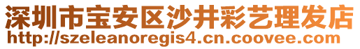 深圳市寶安區(qū)沙井彩藝?yán)戆l(fā)店
