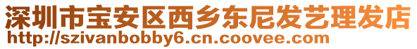 深圳市寶安區(qū)西鄉(xiāng)東尼發(fā)藝?yán)戆l(fā)店