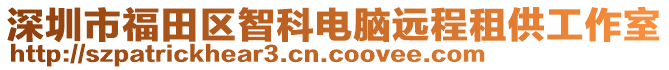 深圳市福田區(qū)智科電腦遠(yuǎn)程租供工作室