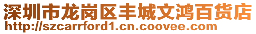 深圳市龍崗區(qū)豐城文鴻百貨店