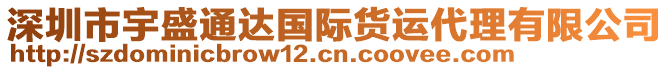 深圳市宇盛通達國際貨運代理有限公司