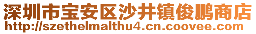 深圳市寶安區(qū)沙井鎮(zhèn)俊鵬商店