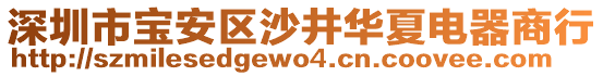 深圳市寶安區(qū)沙井華夏電器商行