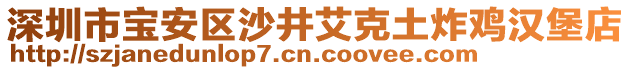 深圳市寶安區(qū)沙井艾克土炸雞漢堡店