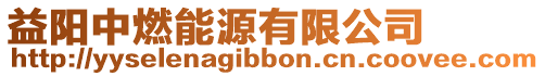 益陽中燃能源有限公司
