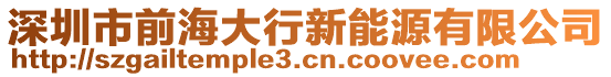 深圳市前海大行新能源有限公司