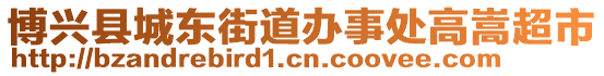 博興縣城東街道辦事處高嵩超市