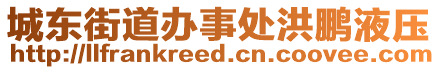 城東街道辦事處洪鵬液壓