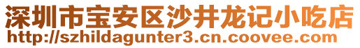 深圳市寶安區(qū)沙井龍記小吃店