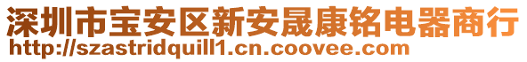 深圳市寶安區(qū)新安晟康銘電器商行