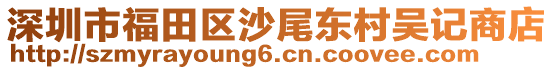 深圳市福田區(qū)沙尾東村吳記商店