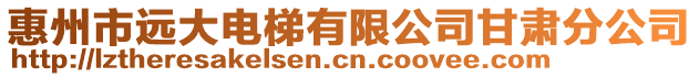 惠州市遠大電梯有限公司甘肅分公司