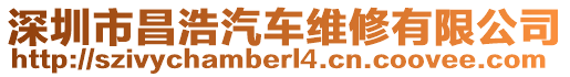 深圳市昌浩汽車維修有限公司