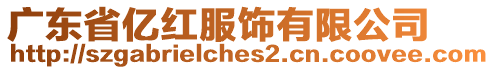 廣東省億紅服飾有限公司