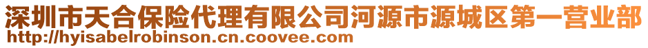 深圳市天合保險代理有限公司河源市源城區(qū)第一營業(yè)部