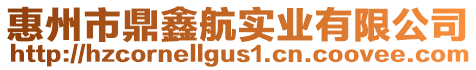 惠州市鼎鑫航實業(yè)有限公司