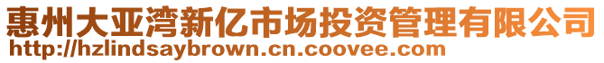 惠州大亞灣新億市場投資管理有限公司