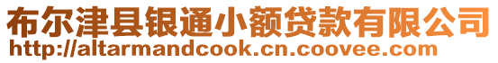 布爾津縣銀通小額貸款有限公司