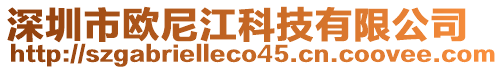 深圳市歐尼江科技有限公司