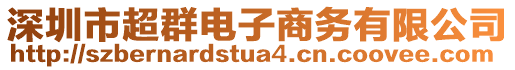 深圳市超群電子商務(wù)有限公司