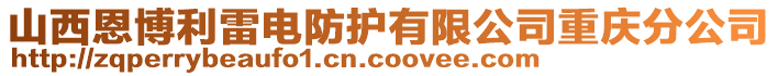 山西恩博利雷電防護有限公司重慶分公司