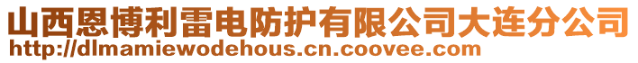 山西恩博利雷電防護(hù)有限公司大連分公司